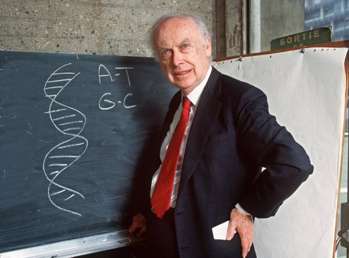 Flam: James Watson had a brilliant mind and a broken moral compass