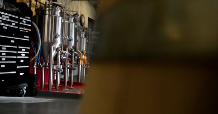 As nonalcoholic beverages take off, CSU's fermentation and food science program bubbles up new ideas