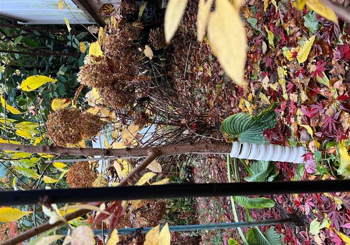 Doing these garden chores now will make your spring easier