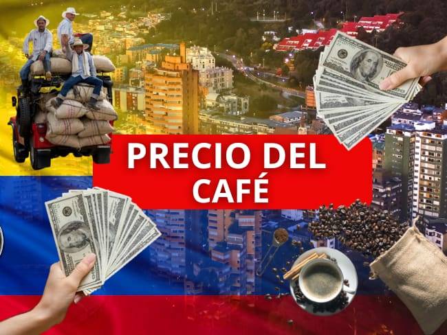 Precio del café para este 11 de noviembre: ¡Ha subido su valor!