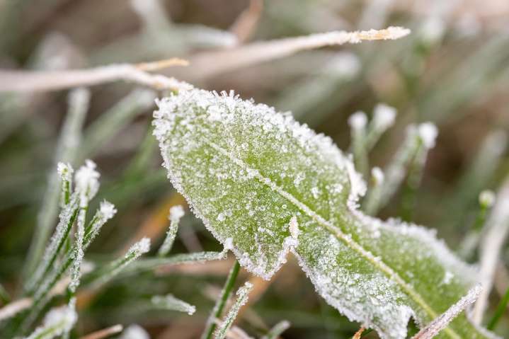 Mass. braces for cold, blustery Friday, weekend freezing rain risk