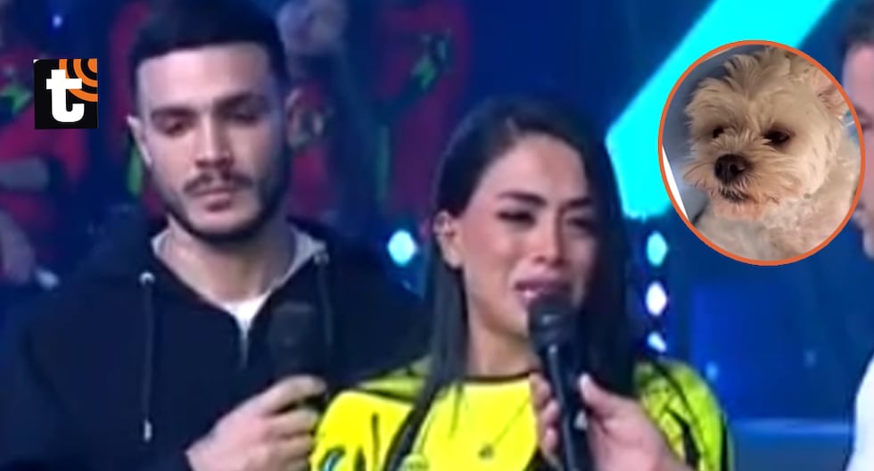 Onelia rompe en llanto al relatar la terrible muerte de ‘Nieve’, la mascota que tuvo con Mario: “El carro pasó y no paró” La pareja de Mario Irivarren reveló que su mascota falleció tras ser arrollada