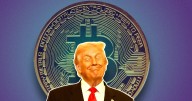 Economist Warns That Trump’s Investments in the Tech Industry Could Crash the Whole Economy