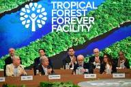Ganar dinero por proteger bosques: el fondo de inversión que presentó Lula previo a la COP30