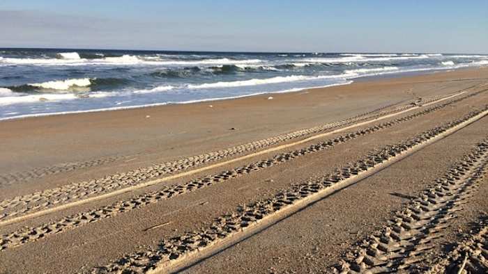 Florida lawmaker pushes new bill for transparency in state land transactions, conservation