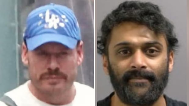 Who is the Canadian blogger who accepted ‘significant money’ from fugitive Ryan Wedding?