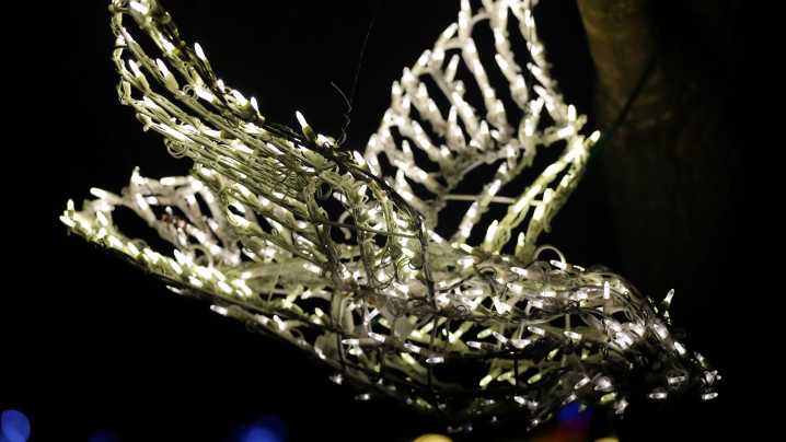 Holiday light displays will be popping up around the Green Bay area