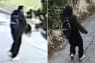 Thief Demanded Woman, 88, Give Him Ring. Then He Bit Off Her Finger to Steal It