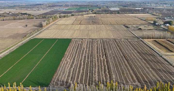 La soja superó los 400 dólares y envía una señal favorable para la economía argentina