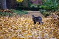 Sunday should be another lovely fall day in Portland