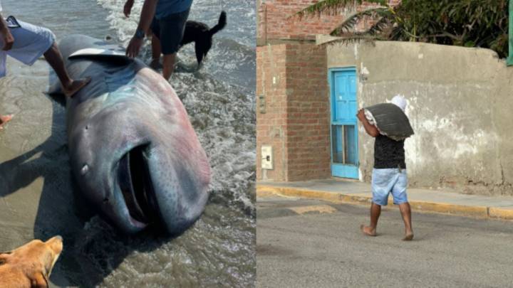 Afirma Trump que acuerdo para fin de guerra entre Rusia y Ucrania esta cerca