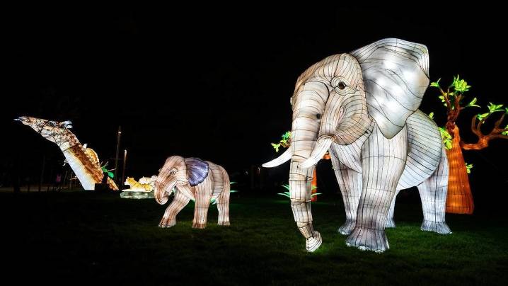 Getafe estrenará esta Navidad ‘Brilla Zoo’, un recorrido inmersivo por la naturaleza