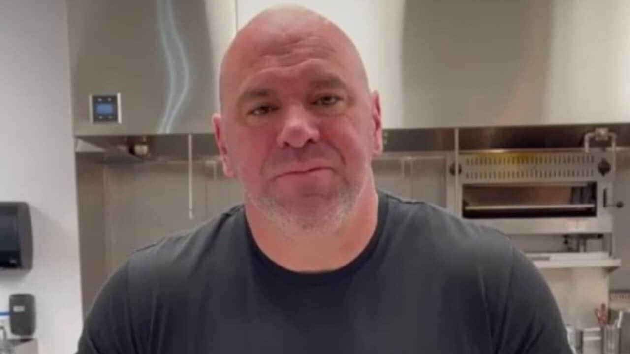 UFC President Dana White Is ‘Definitely Keeping’ An Eye On Former WWE Star