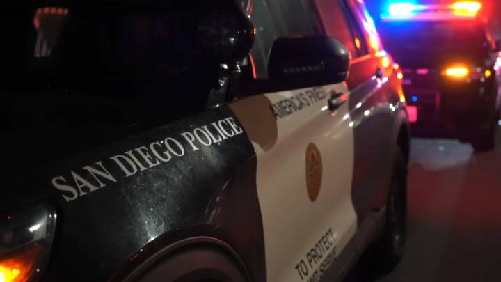 3-year-old girl bitten by coyote near Westfield UTC, parents say – NBC 7 San Diego