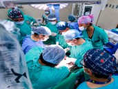 Donación pediátrica de órganos en Lima brinda esperanza de vida a seis niños