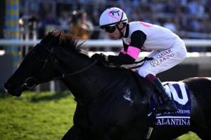 Gstaad gives O’Brien record 21st Breeders’ Cup win