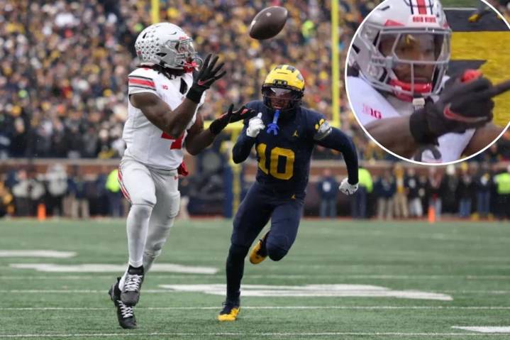 Ohio State's Jeremiah Smith flips off Michigan fans in photo from win