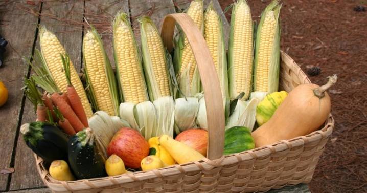 A Thanksgiving prayer to share