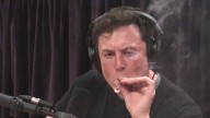 Rogan nods along as Musk explains that immigrants destroyed the US