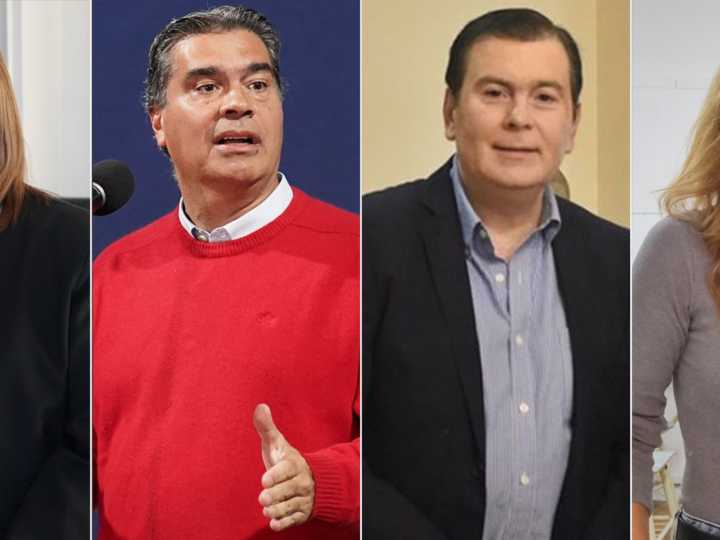 Uno por uno, quiénes son los 24 senadores que juran este viernes