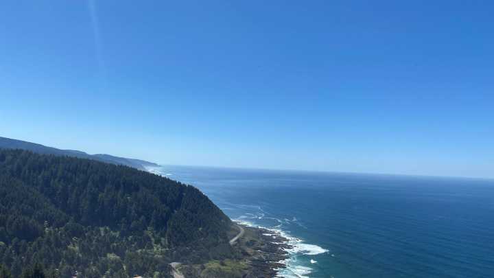 Volunteers attempt to rescue stranded humpback whale in Yachats