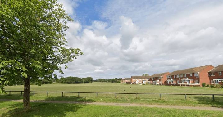 Woman sexually assaults victim in park before boyfriend flashes her and they run