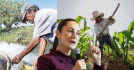 Sheinbaum acusa abuso de algunos agricultores que ganan hasta 300 millones de pesos por venderle agua a comunidades y municipios sin acceso al recurso; quiere acabar con este “privilegio de unos cuant