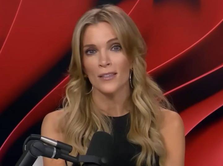 Megyn Kelly says Jeffrey Epstein was ‘not a pedophile’