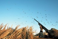 Duck hunters rescued after boat capsizes in Douglas County