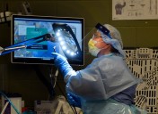 Baystate Health sponsors career pathways event for students