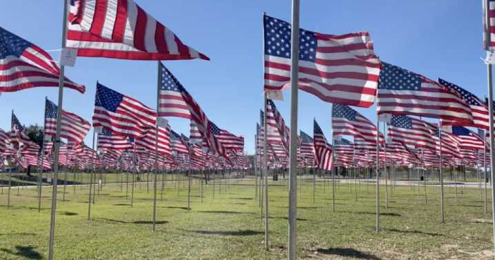 Where valor stands tall: BVVM hosts annual Veterans Day ceremony
