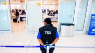 Can you bring Thanksgiving leftovers on a plane in AL? TSA says yes