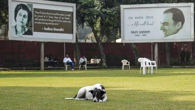 Pictures of empty Congress office, evidence of Bihar voters rejecting "Vote Chori" allegations going viral