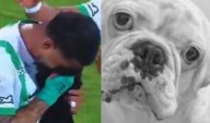 VIRAL | Edwin Cardona rompe en llanto tras dedicar su gol a su perrito fallecido 'Chewin'