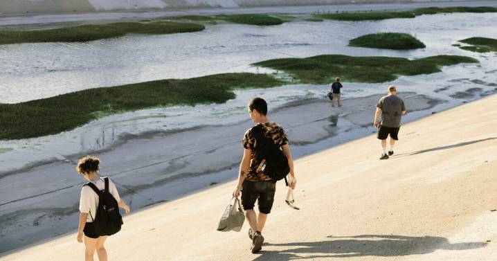A guerrilla gardener installed a pop-up wetland in the LA River. Here's how — and why