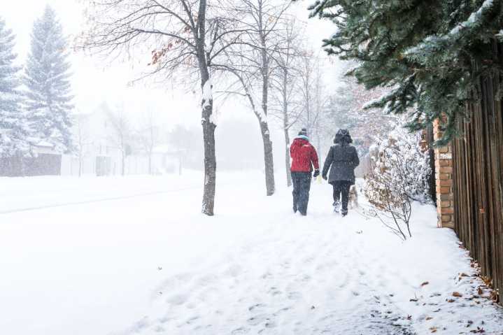 Winter storm hits Alberta soon and up to 20 cm of snow is forecast