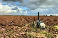 Qué es y qué no es desertificación