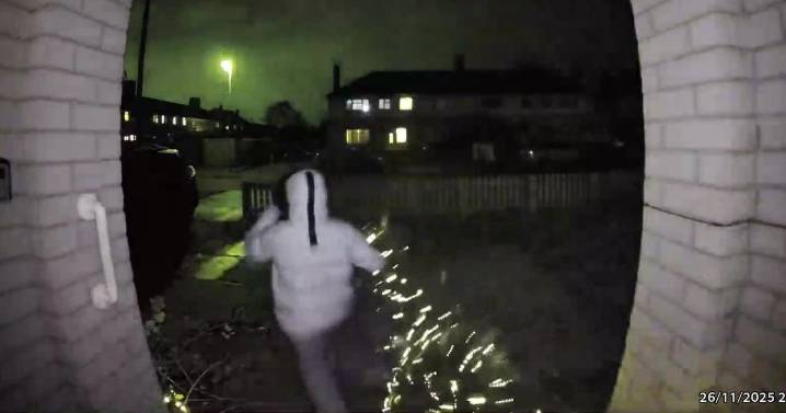 Doorbell footage catches moment real-life Grinch steals mum's Christmas tree from front porch