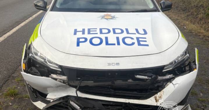 Van deliberately reverses into police car