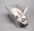 A ban on animal testing is long overdue