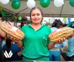 Perú, líder mundial: Conserva el 72% del material genético de cacao del planeta