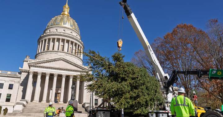 Christmas on the way: 2 Fayette County trees delivered to Capitol for holiday display