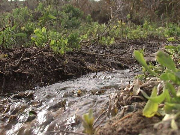 Síntesis regional de noticias: reconocimiento internacional a humedal urbano aguada La Chimba