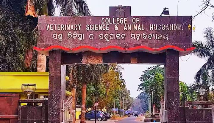 Sambalpur To Get New Veterinary College, Boost For Farmers And Rural Economy