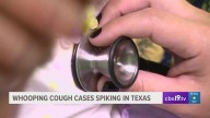 East Texas doctor says vaccines are best protection against whooping cough