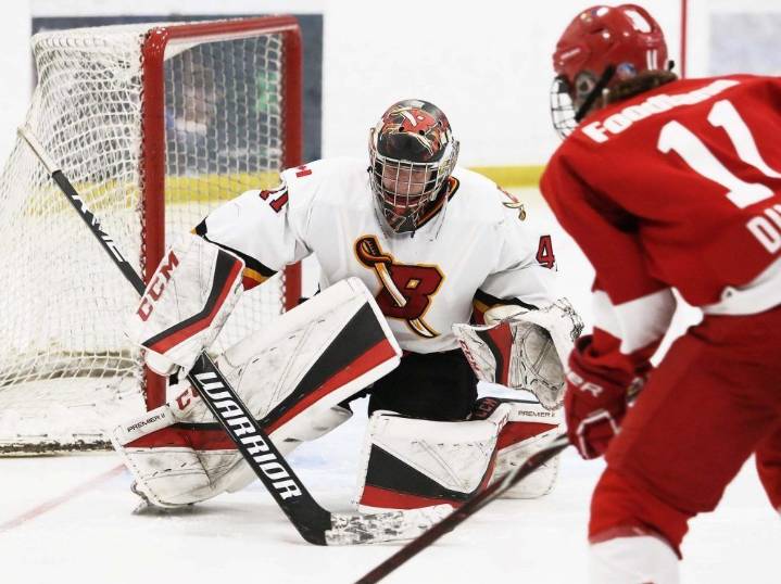 Streaking Blenheim Blades rise to second