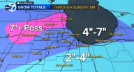 Chicago weather forecast: Wind downs trees in area | Several inches of snow possible Thanksgiving weekend - ABC7 Chicago