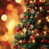 Governor Morrisey, First Lady call on West Virginians to submit photos for annual Honor Trees