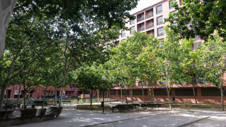 El parque Bruil tendrá 100 nuevos árboles: "Será un pequeño bosque urbano"