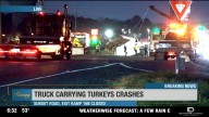 Tractor trailer carrying live turkeys crashes on I